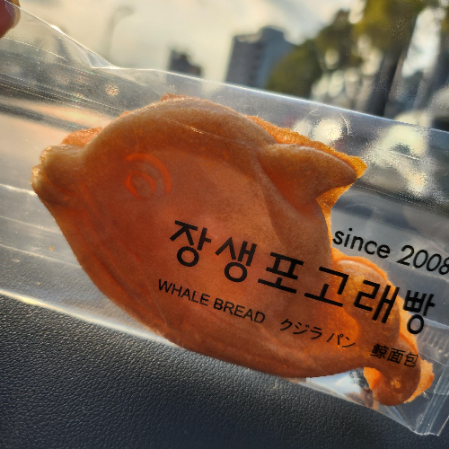 장생포웰리키즈랜드 울산 가성비 키즈카페 고래박물관 아이랑 고래빵 - undefined - undefined - ✔️ 입장료 장생포웰리키즈랜드 울산 가성비 키즈카페 고래박물관 아이랑 고래빵 - undefined - undefined - ✔️ 입장료