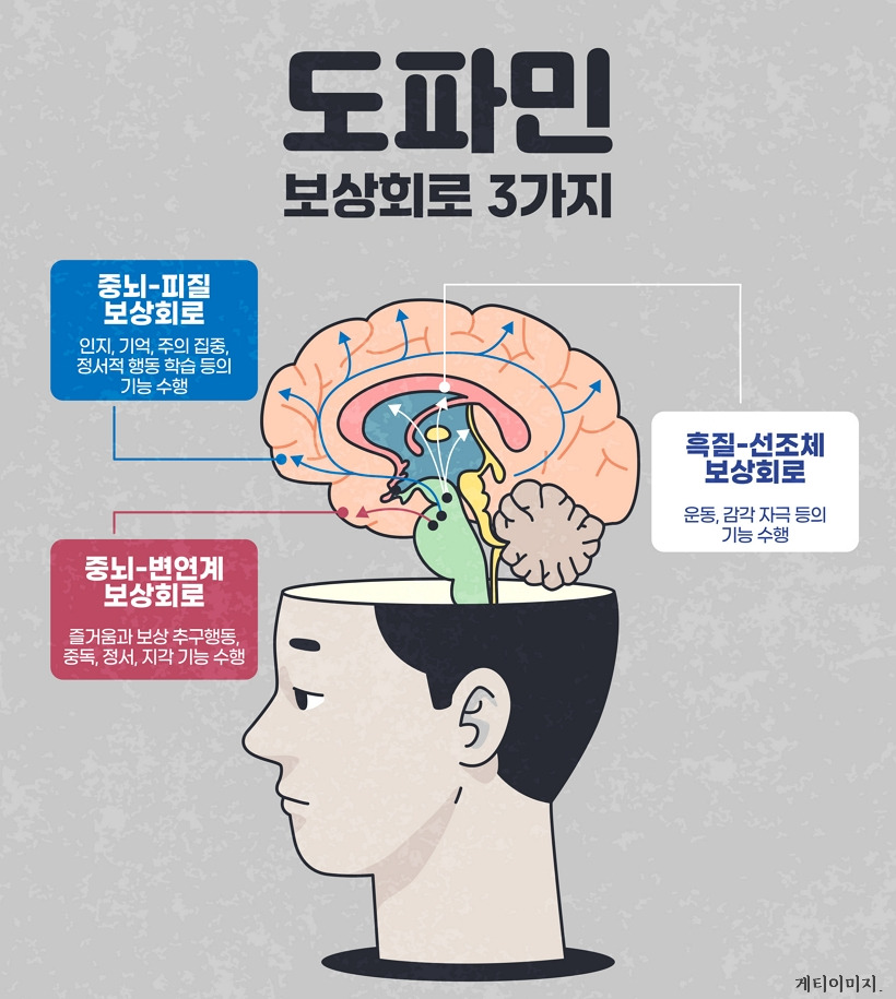 도파민 이미지
