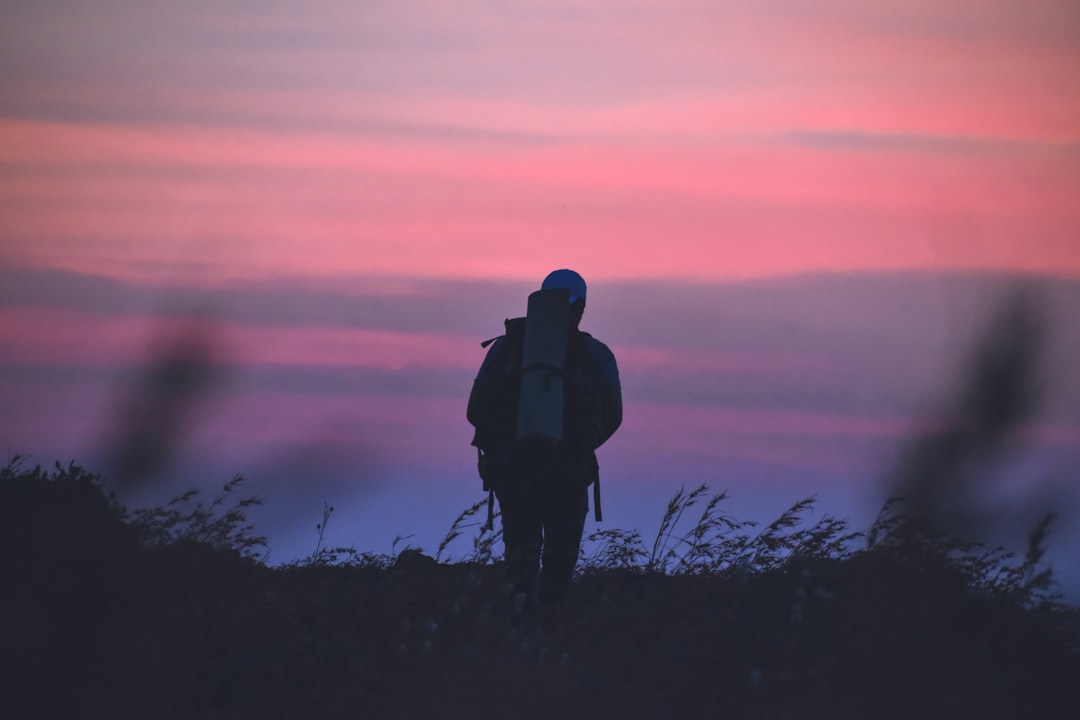Traveler