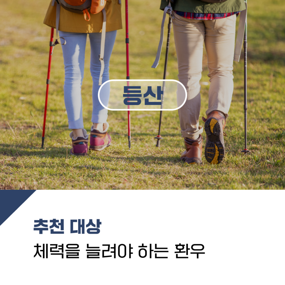 종류 _ 자전거, 등산, 수영, 줄넘기 암 선배가 추천하는 땀나는 유산소 운동 5