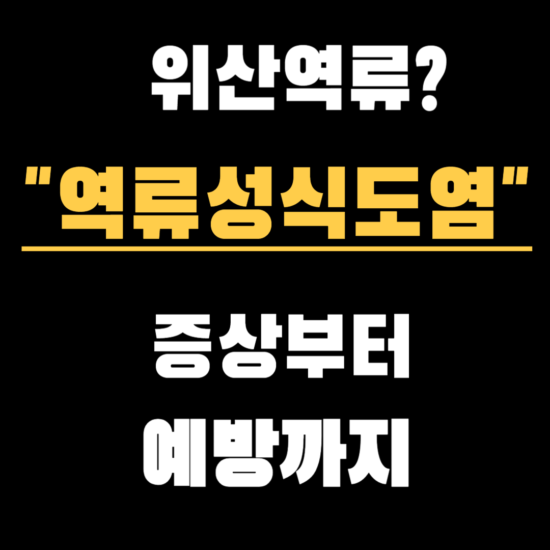 위산 역류? 단순한 속쓰림 아냐! 역류성 식도염 증상부터 예방법까지 총정리