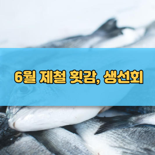 6월 제철음식의 풍미 생선회, 횟감, 채소, 과일, 해산물 특별 메뉴