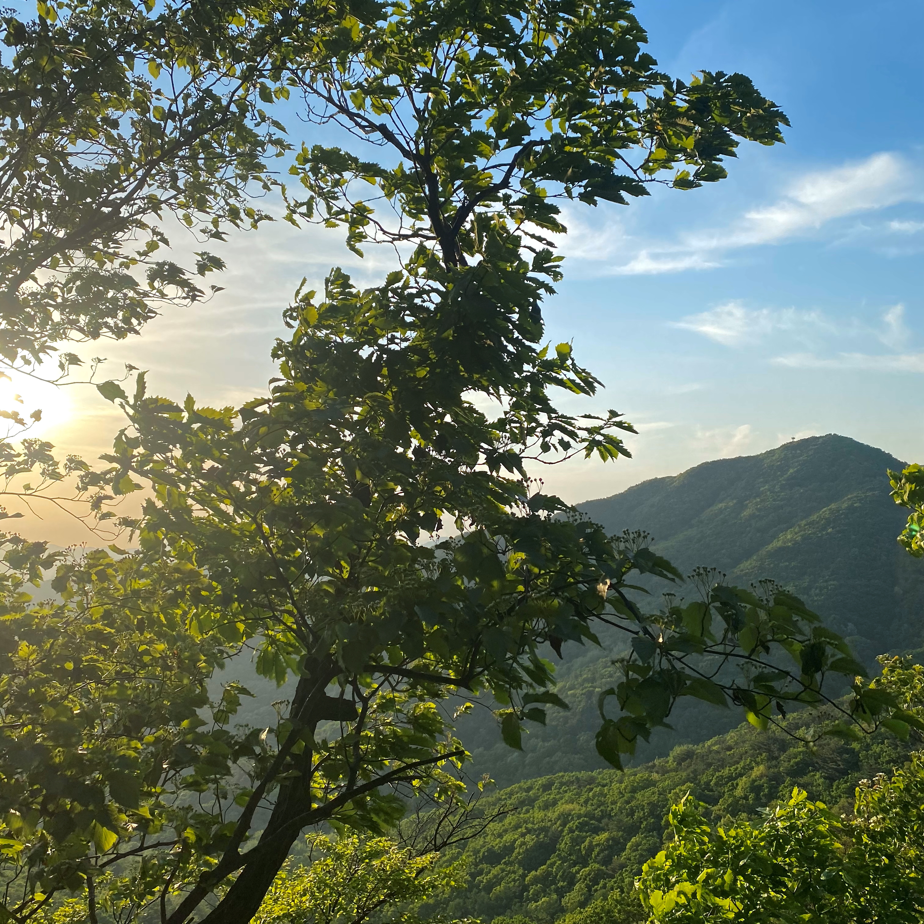  광교산 등산, 주차장 정보