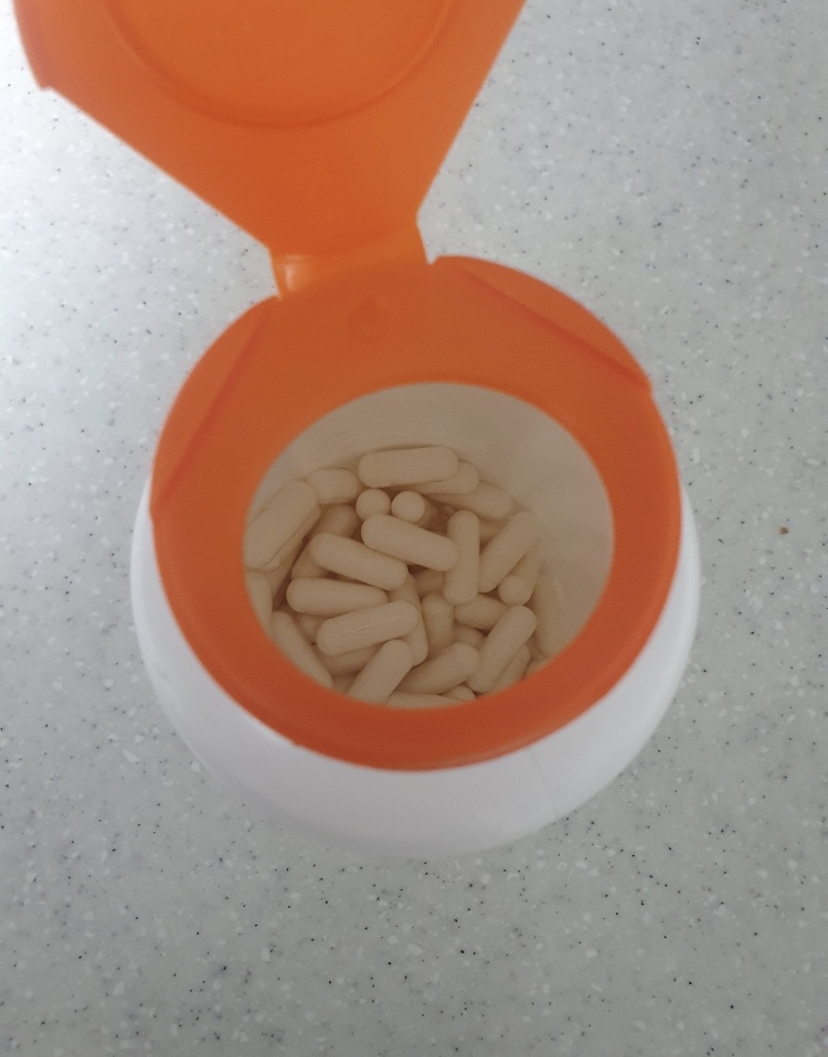 주요 저분자 콘드로이틴 리뷰 3