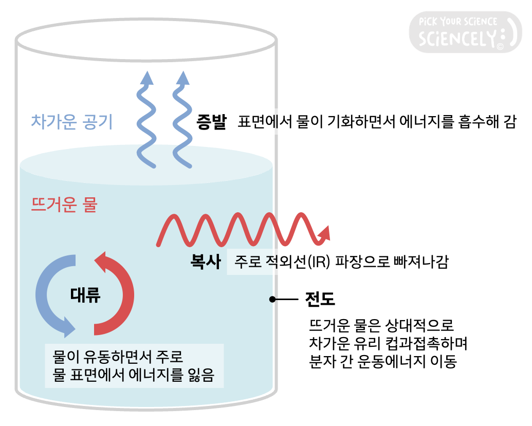 물이 식는 과정에서 발생하는 열전달, 열손실. 물 같은 액체는 주로 대류와 증발로 에너지를 잃고, 복사와 전도의 영향은 상대적으로 적음. 대류가 표면에 있는 물을 순환시켜주면 증발에서 물이 기화되면서 증발열을 흡수해 감.