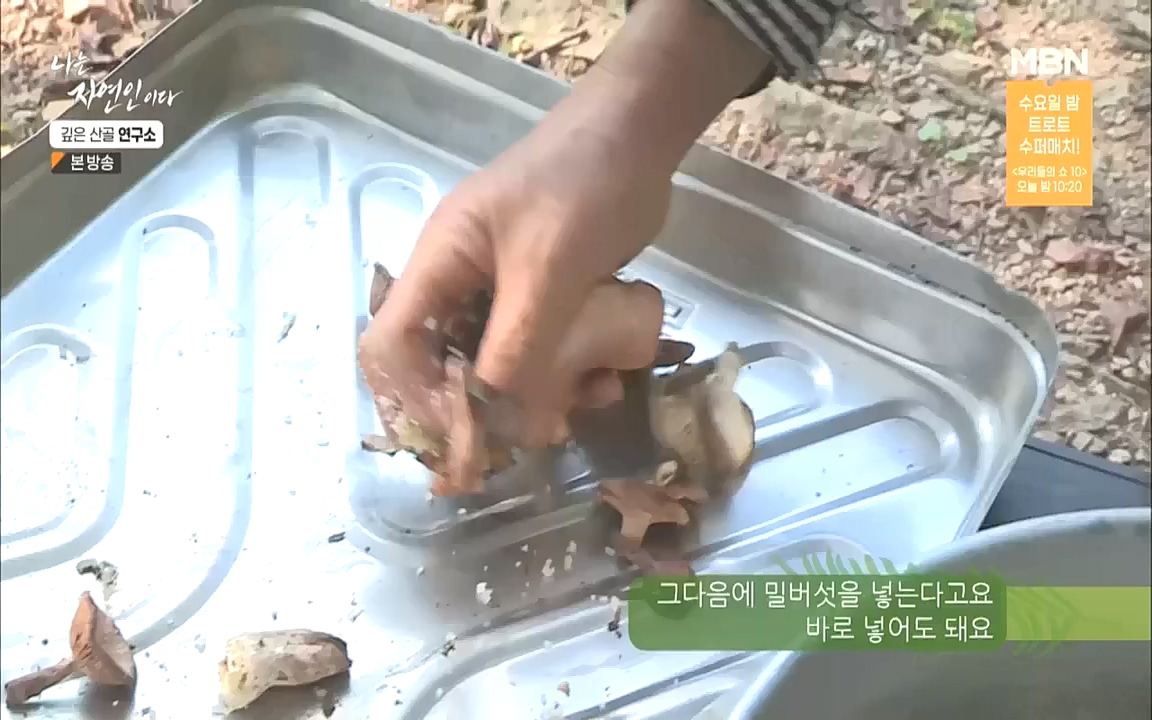 나는 자연인이다.E523.221013p.WANNA.mp4_20221013_201149.052.jpg