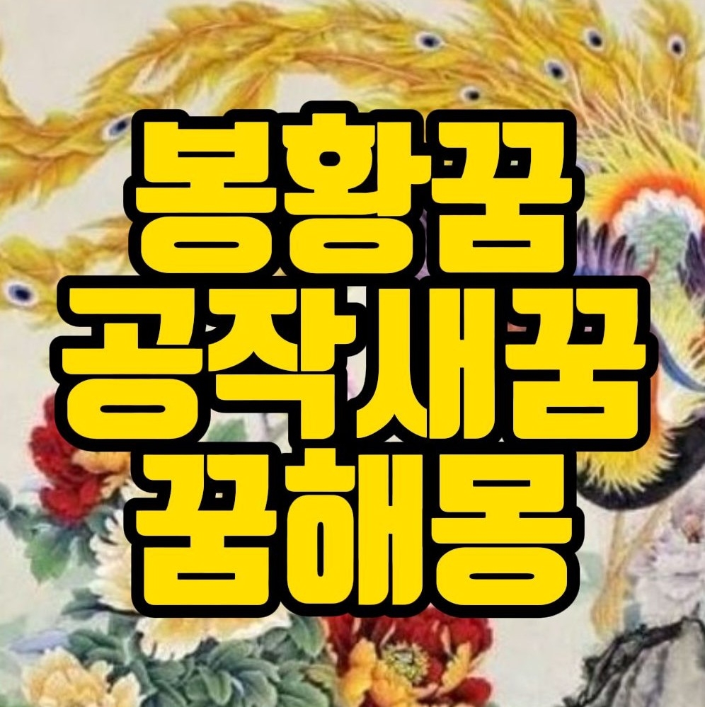 [꿈해몽] 봉황꿈, 공작새꿈 관련 꿈풀이 17선