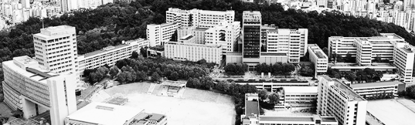 인문계열 (홍익대)