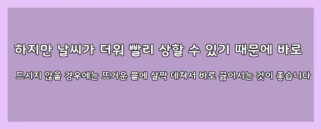  하지만 날씨가 더워 빨리 상할 수 있기 때문에 바로 드시지 않을 경우에는 뜨거운 물에 살짝 데쳐서 바로 끓이시는 것이 좋습니다