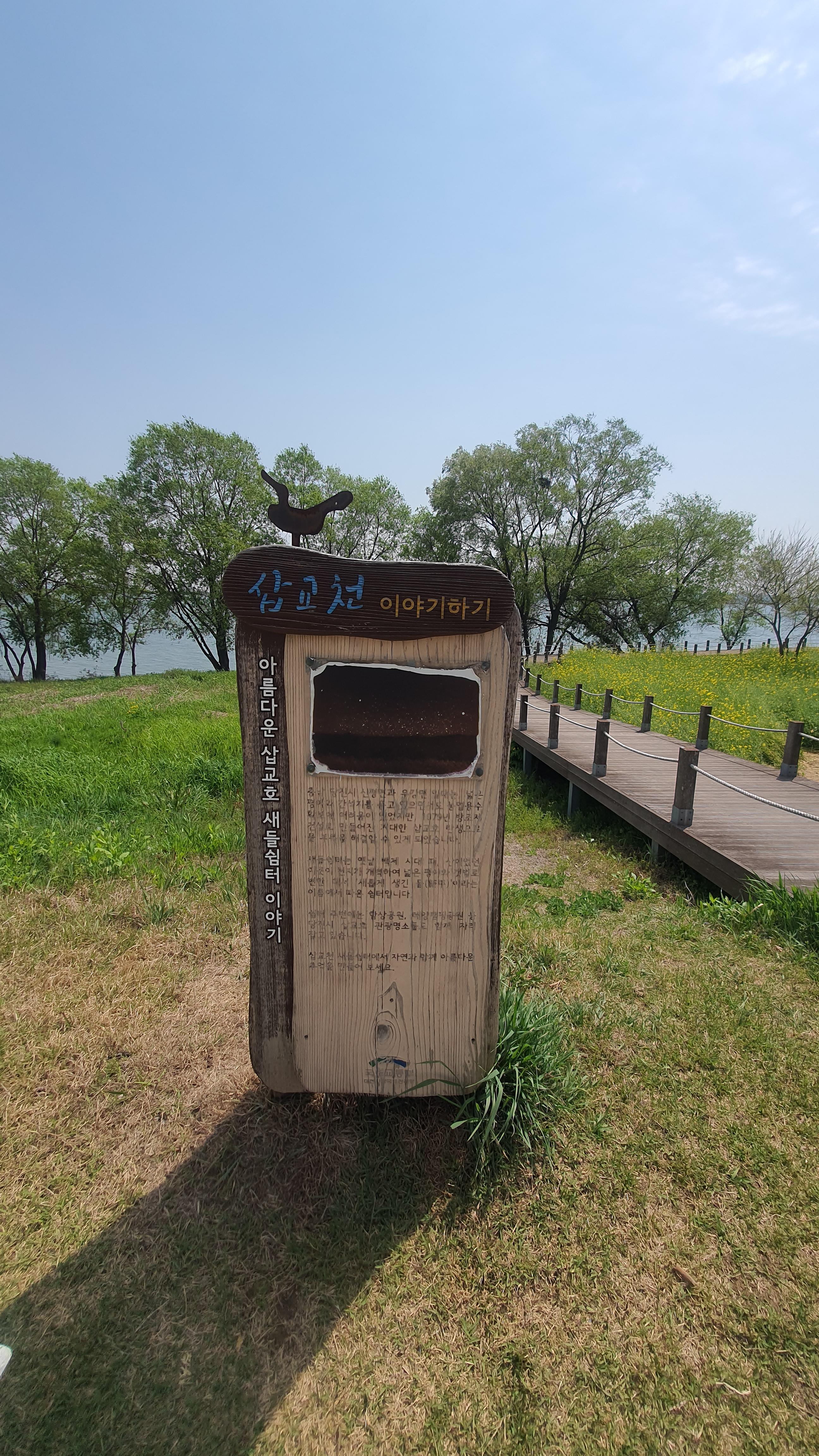 당진 유채꽃 명소 : 삽교호 호수공원