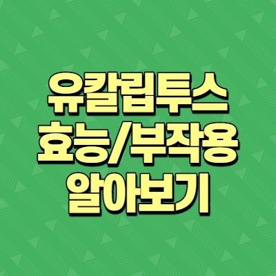  유칼립투스  오일 효능과 부작용 알아보기