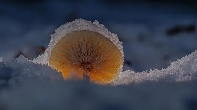 벽지 곰팡이 제거법 원인 파악과 셀프 클리닝 요령 정리_2