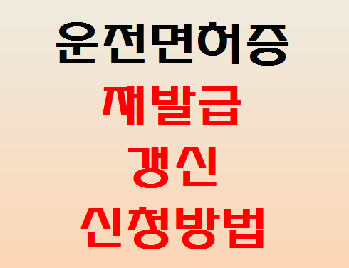  운전면허증 재발급 갱신 신청 방법 정리