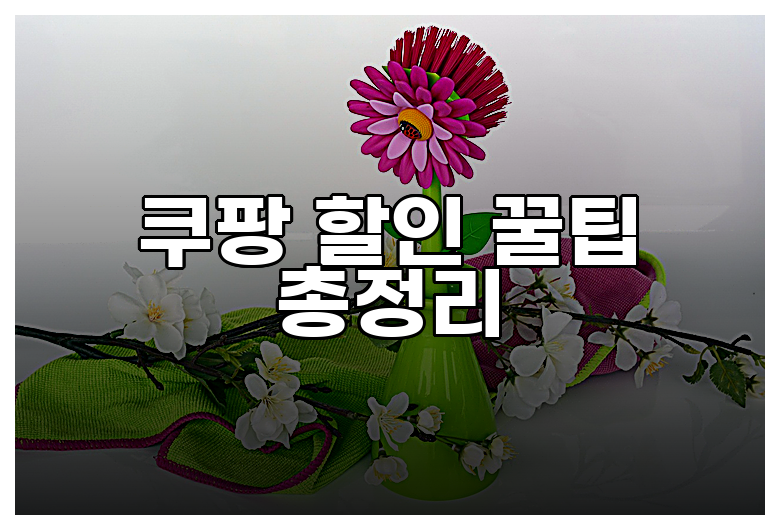 쿠팡 할인 꿀팁 총정리