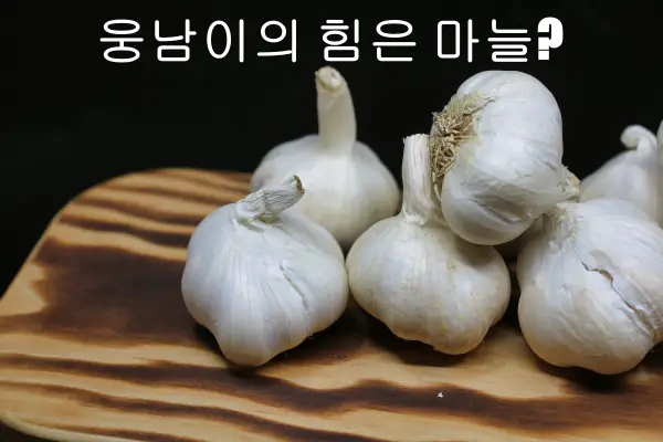 마늘의 놀라운 효능