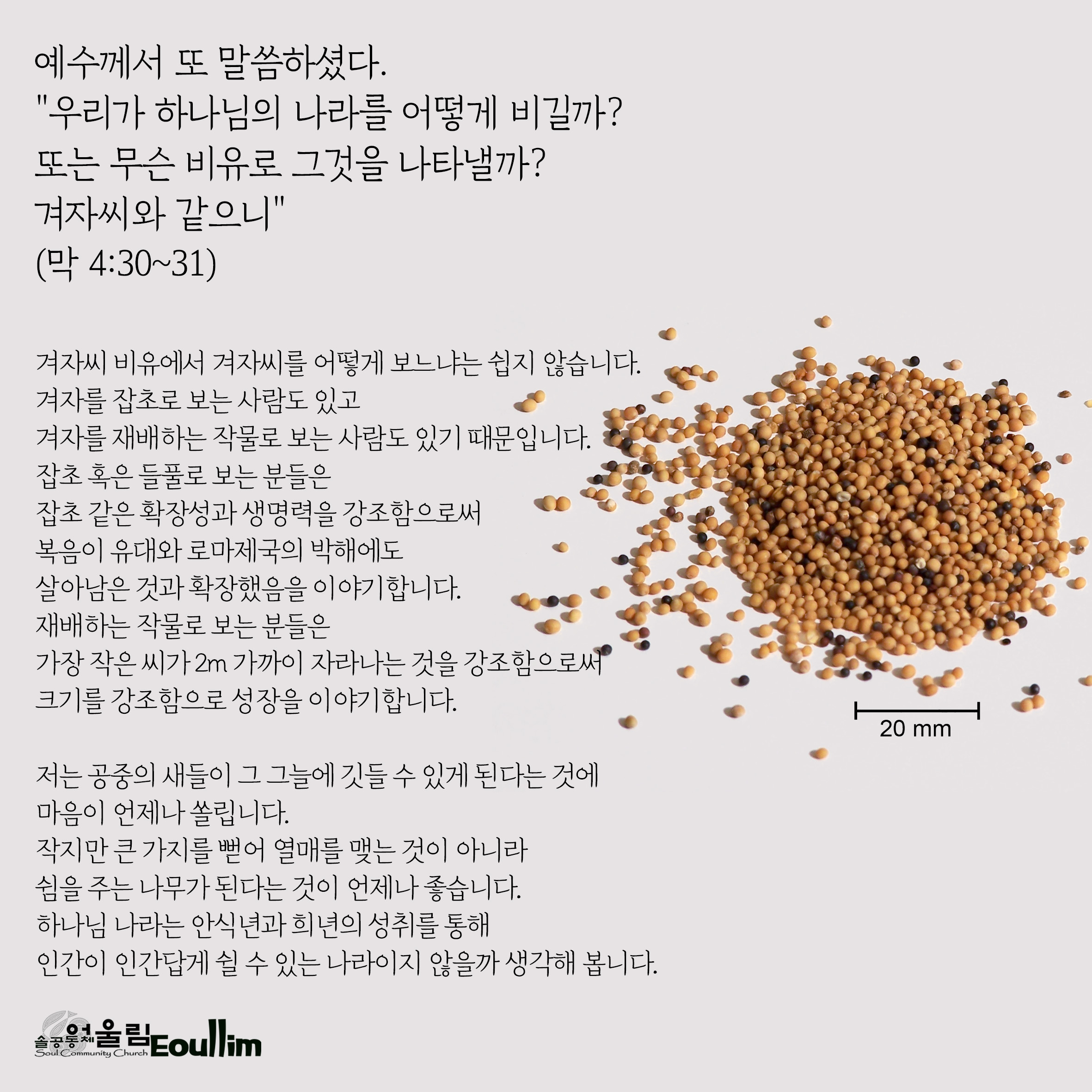 마가 이미지