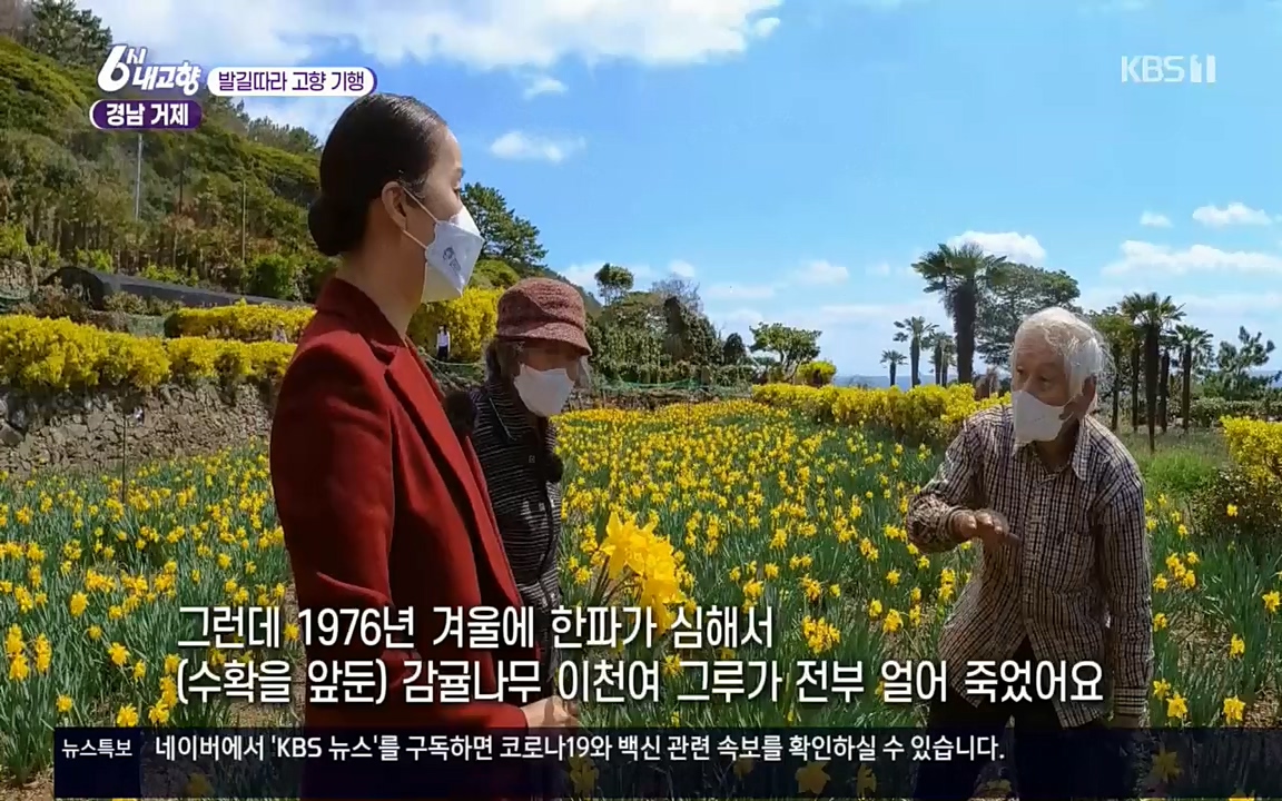 6시 내고향.E7505.220407p.H264-F1RST.mp4_20220411_180250.244.jpg