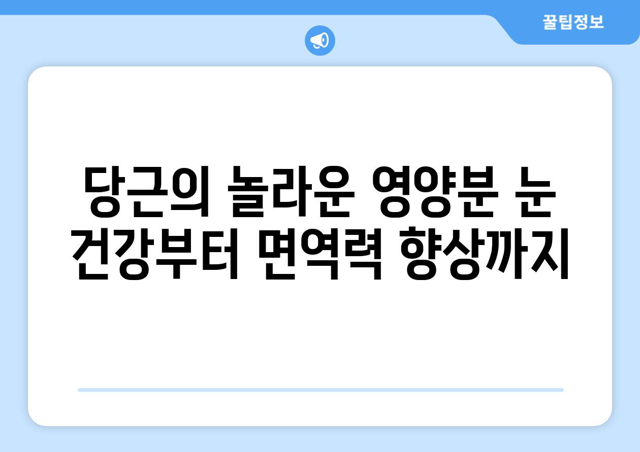 당근의 놀라운 영양분 눈 건강부터 면역력 향상까지