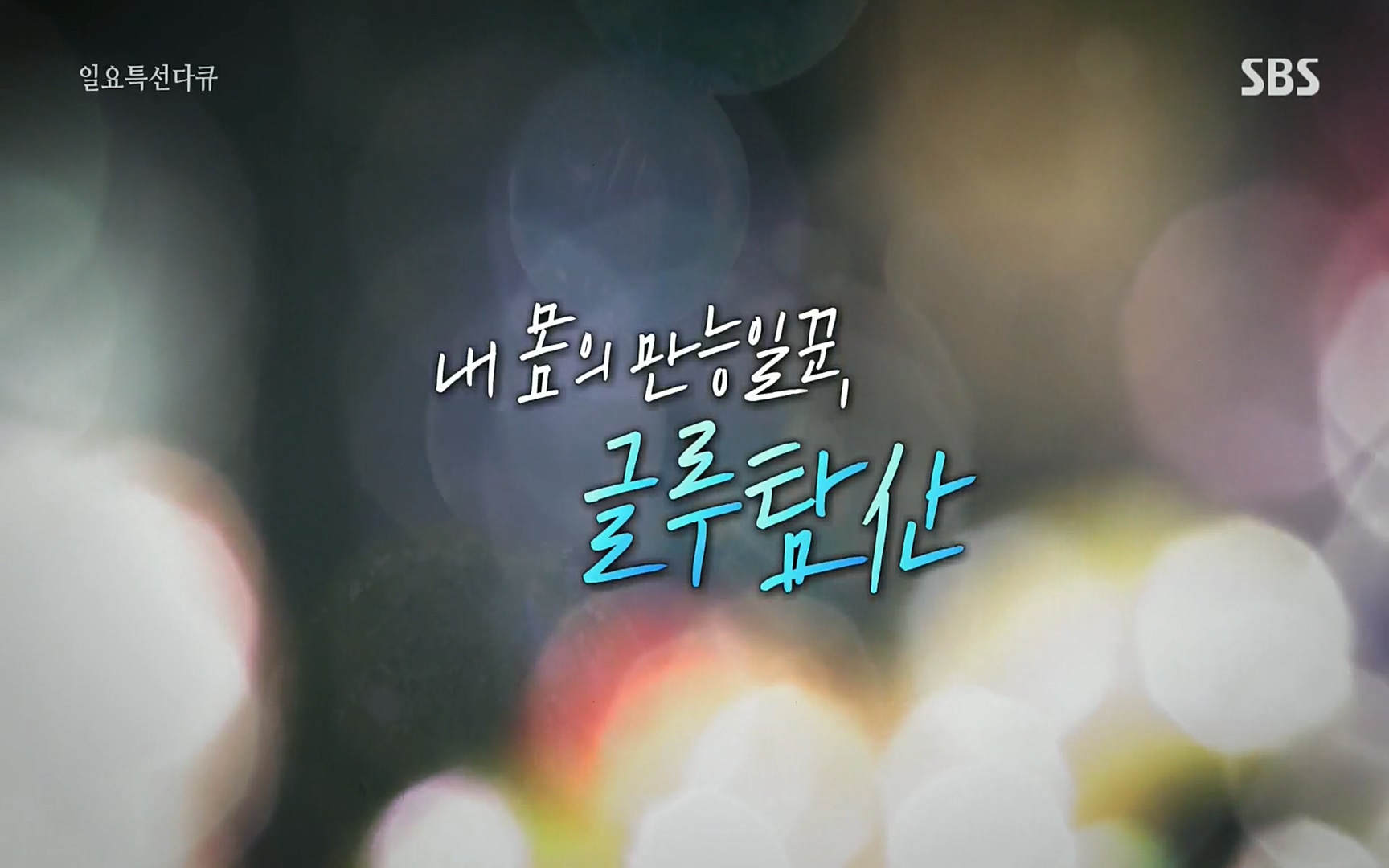 일요 특선 다큐멘터리.E283.220717p.H264-F1RST.mp4_20220718_200315.750.jpg