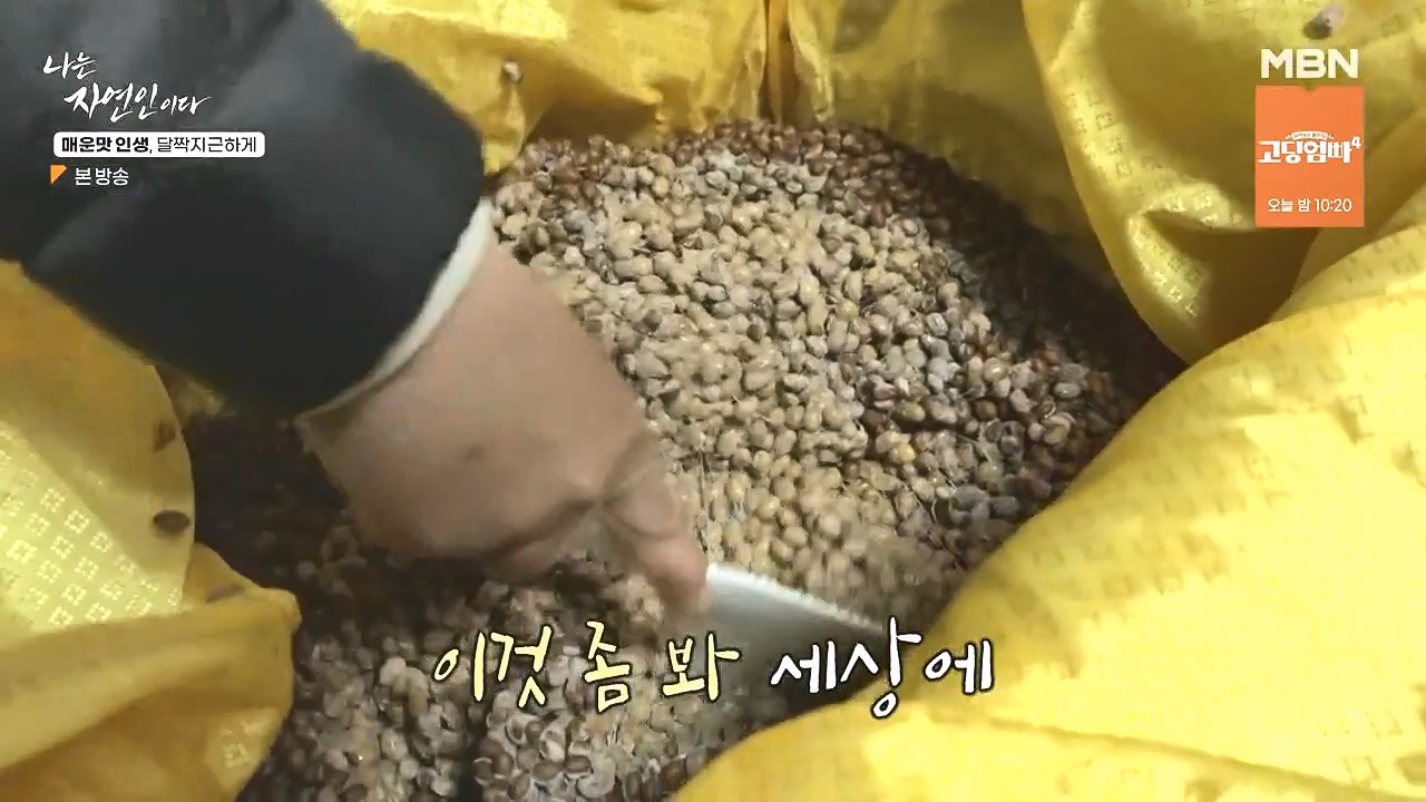 나는 자연인이다.E585.231221p-NEXT.mp4_20231221_195611.153.jpg