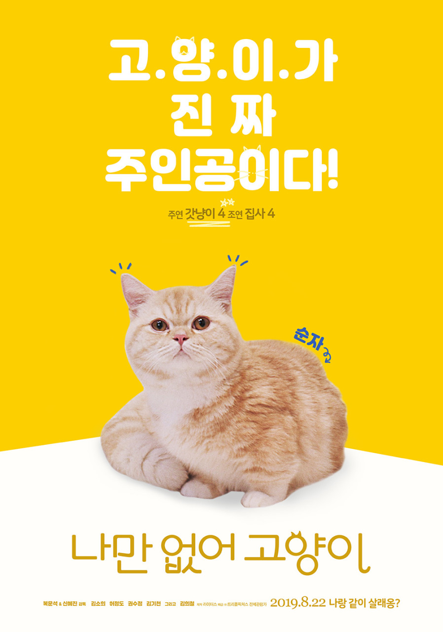 나만없어고양이 이미지