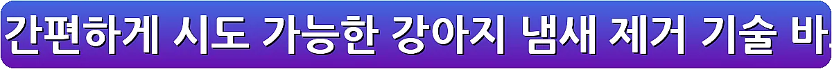 집안에서 간편하게 시도 가능한 강아지 냄새 제거 기술_10