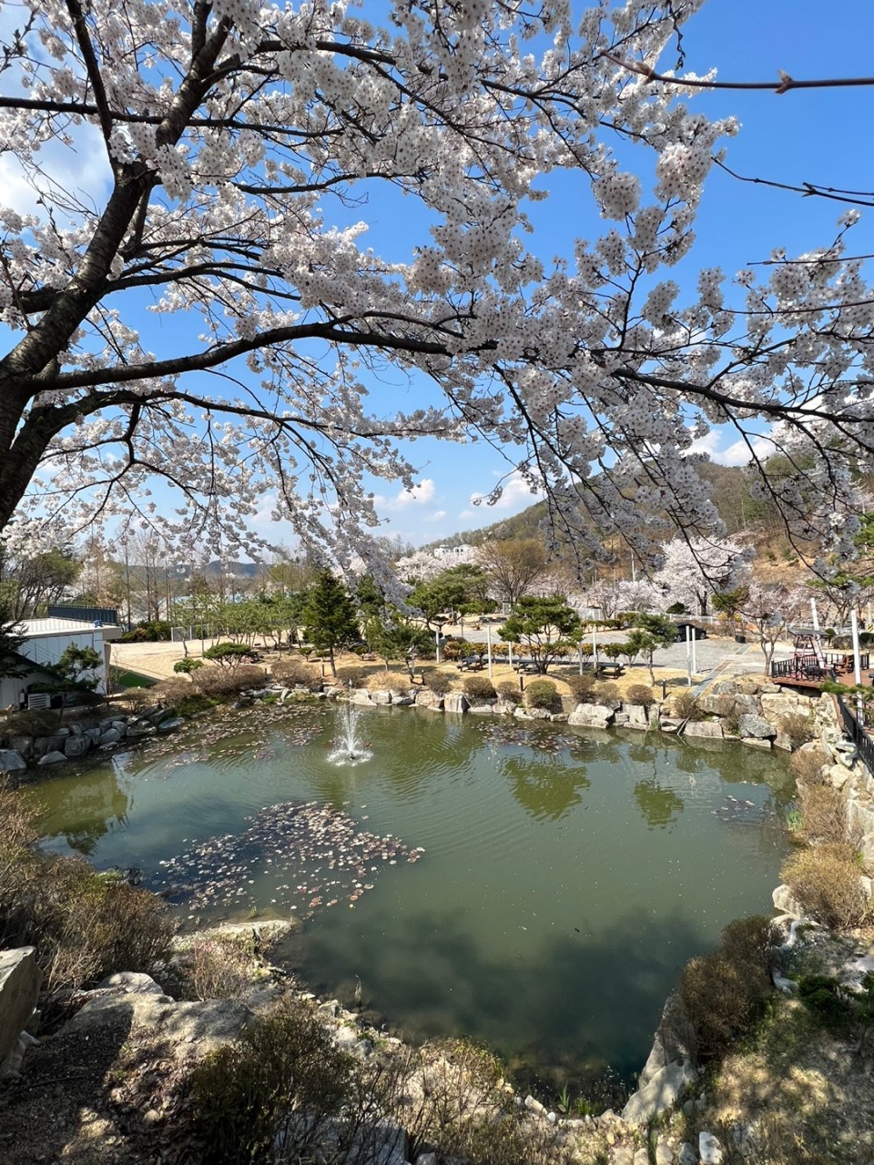 달사랑 캠핑장