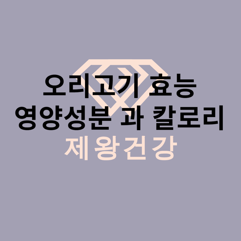  오리 고기 효능 과 영양 성분 칼로리