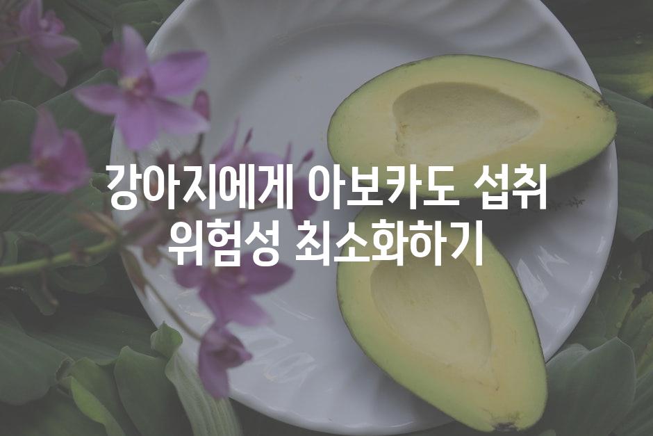 강아지에게 아보카도 섭취 위험성 최소화하기