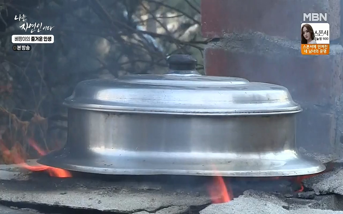 나는 자연인이다.E495.220331p-NEXT.mp4_20220331_174351.349.jpg