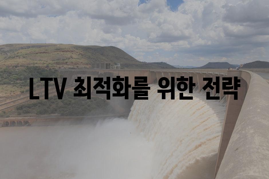 LTV 최적화를 위한 전략