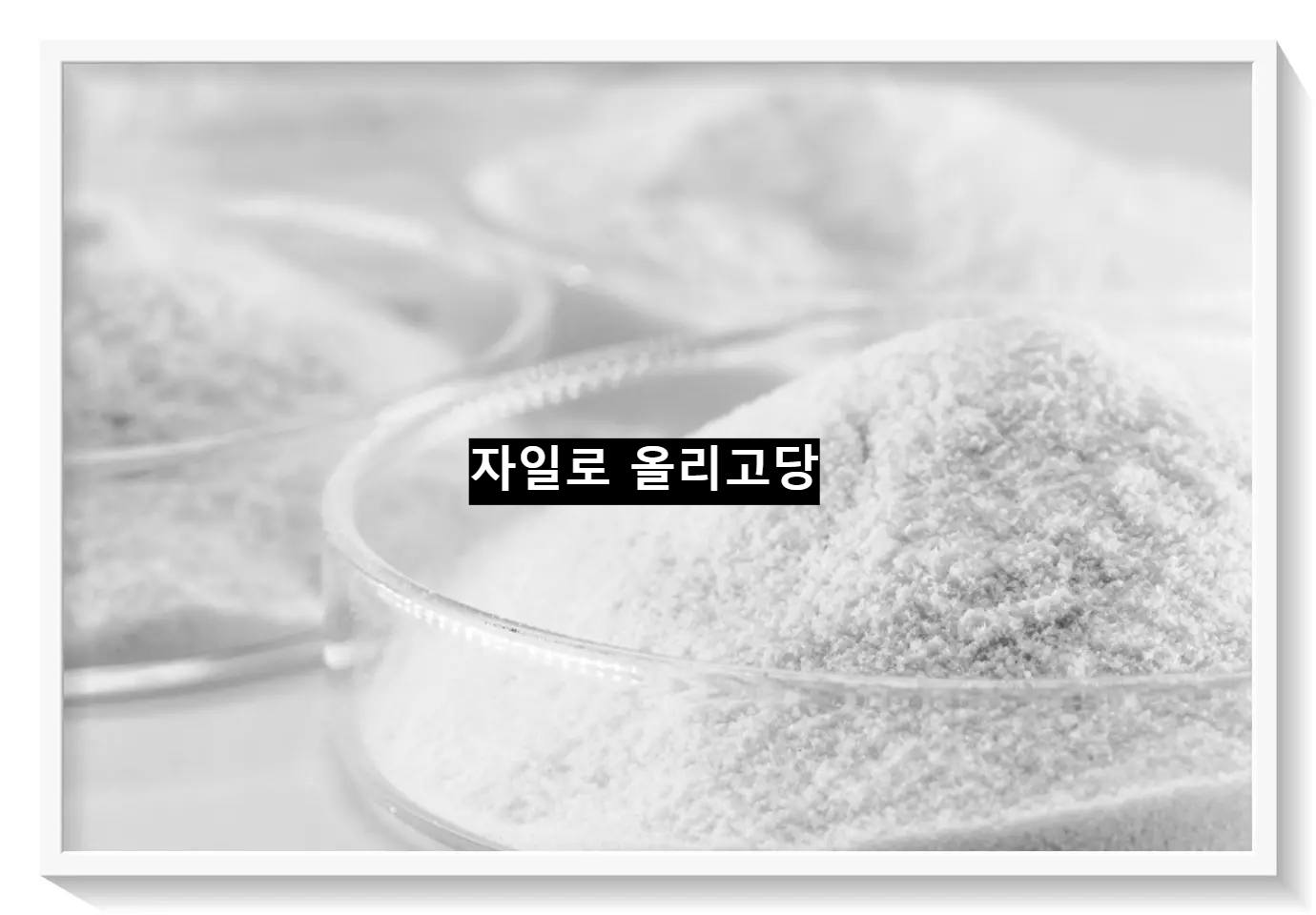 폭씨라인 녹차 카테킨 다이어트 자일로 올리고당 효과