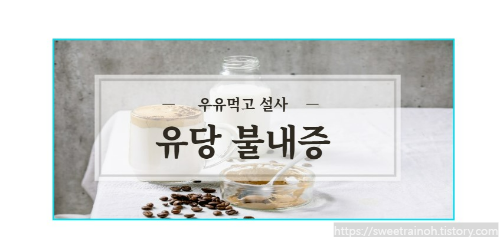우유-사진