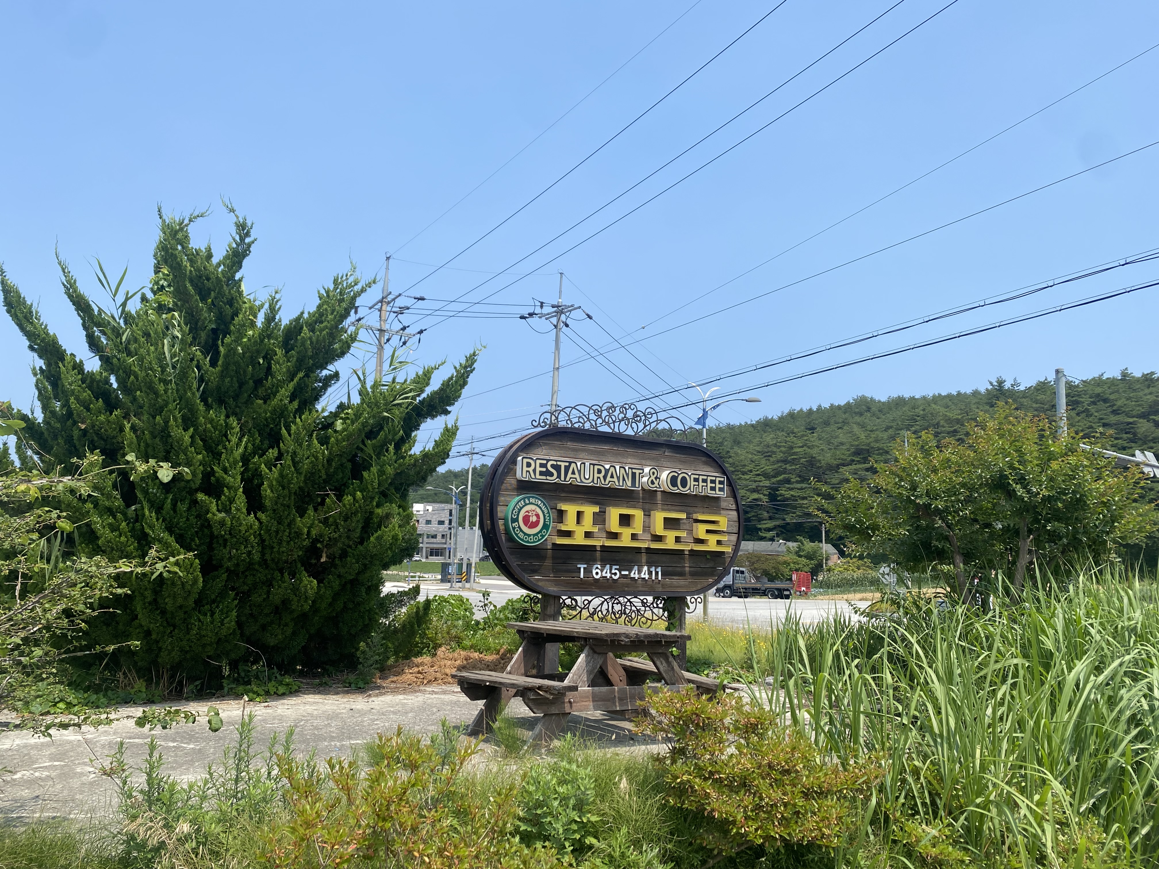 포모도로 4