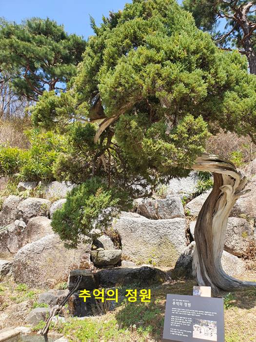 추억의 정원