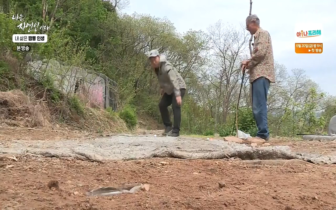 나는 자연인이다.E502.220519p-NEXT.mp4_20220519_182350.329.jpg