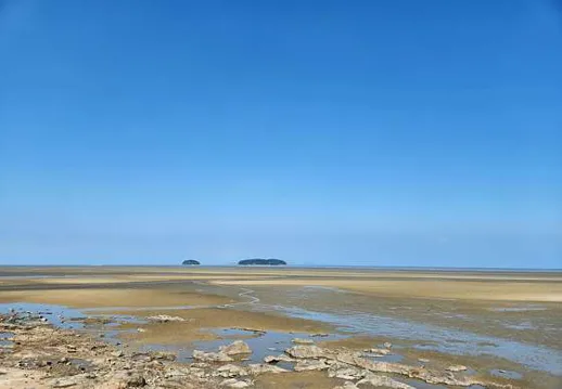 만돌갯벌체험학습장