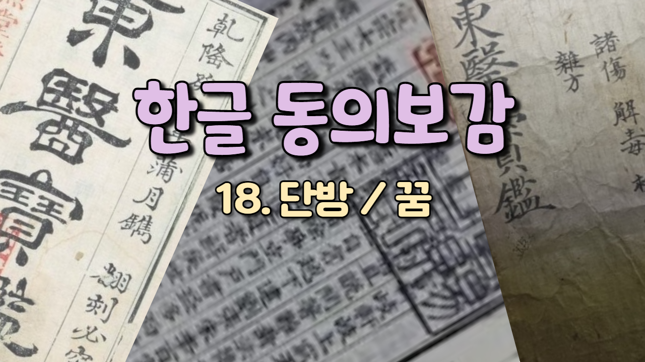  18. 단방(單方)/꿈  (내경편 꿈 )