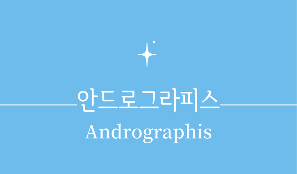 &#39;안드로그라피스(Andrographis)&#39;