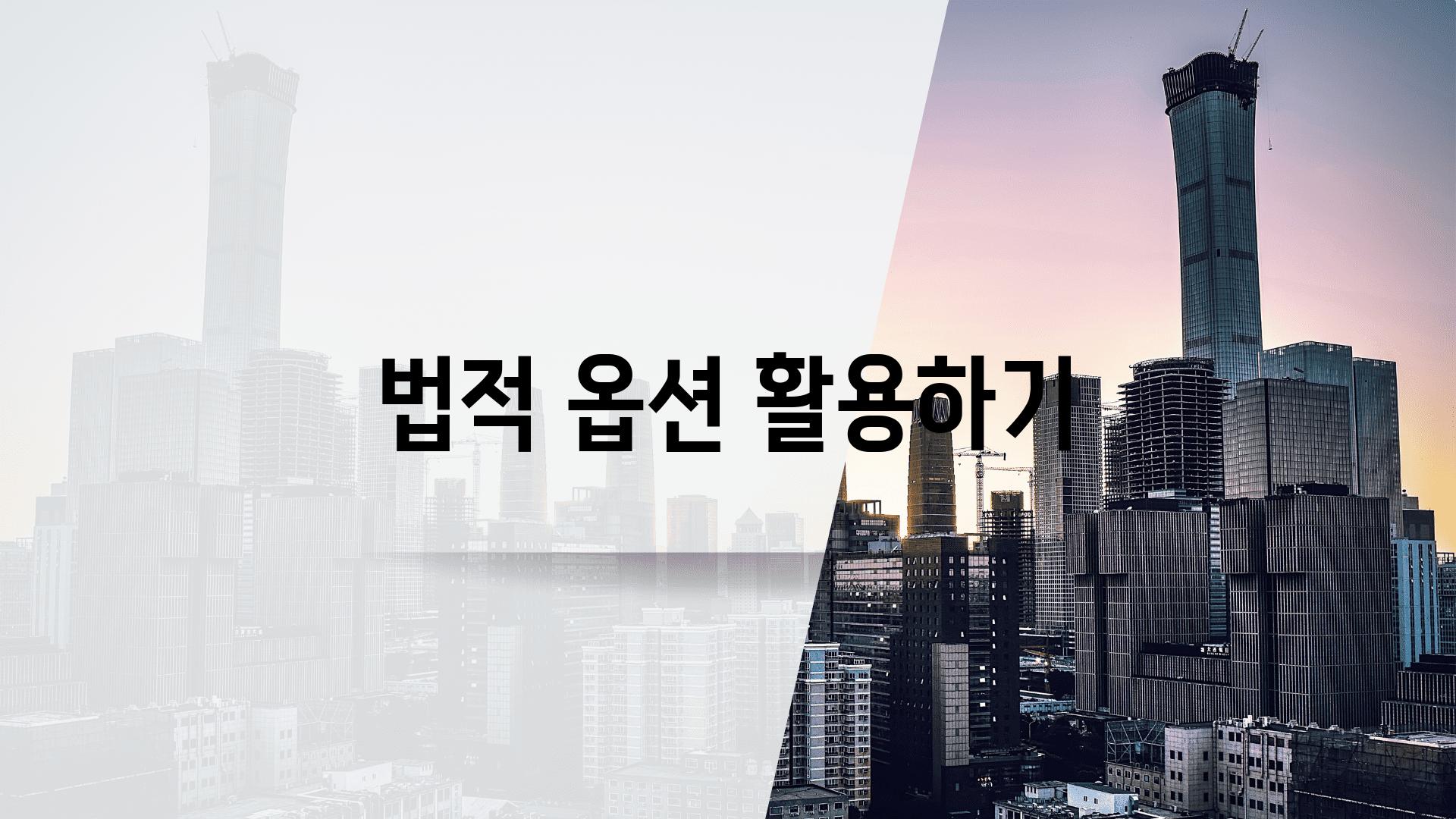 법적 옵션 활용하기