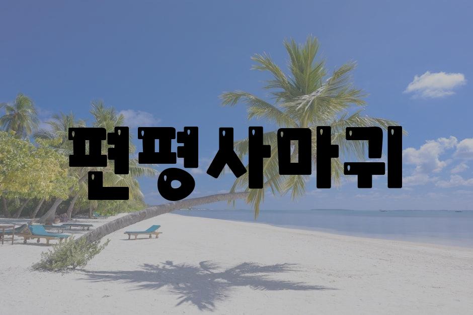 샘플 (79)