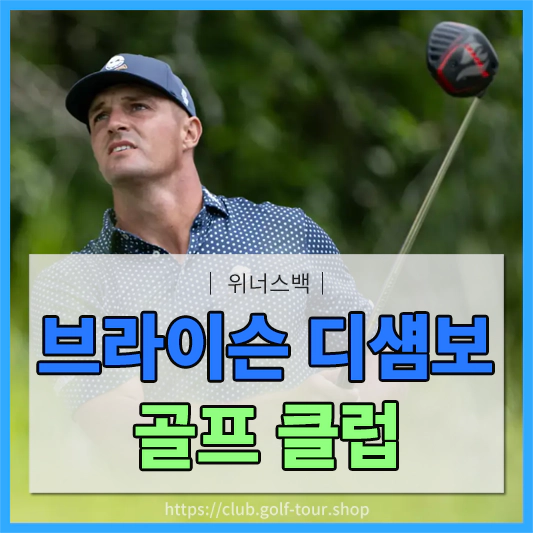 브라이슨 디샘보 골프클럽