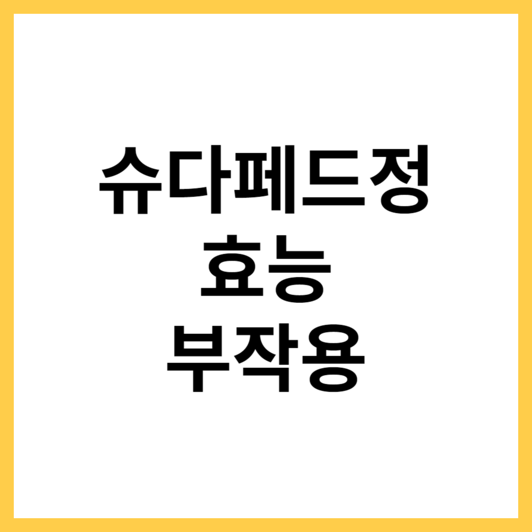 슈다페드정이라는 약품 관련 포스팅 사진입니다.