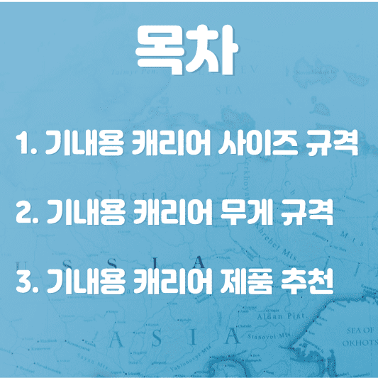 기내용 수하물