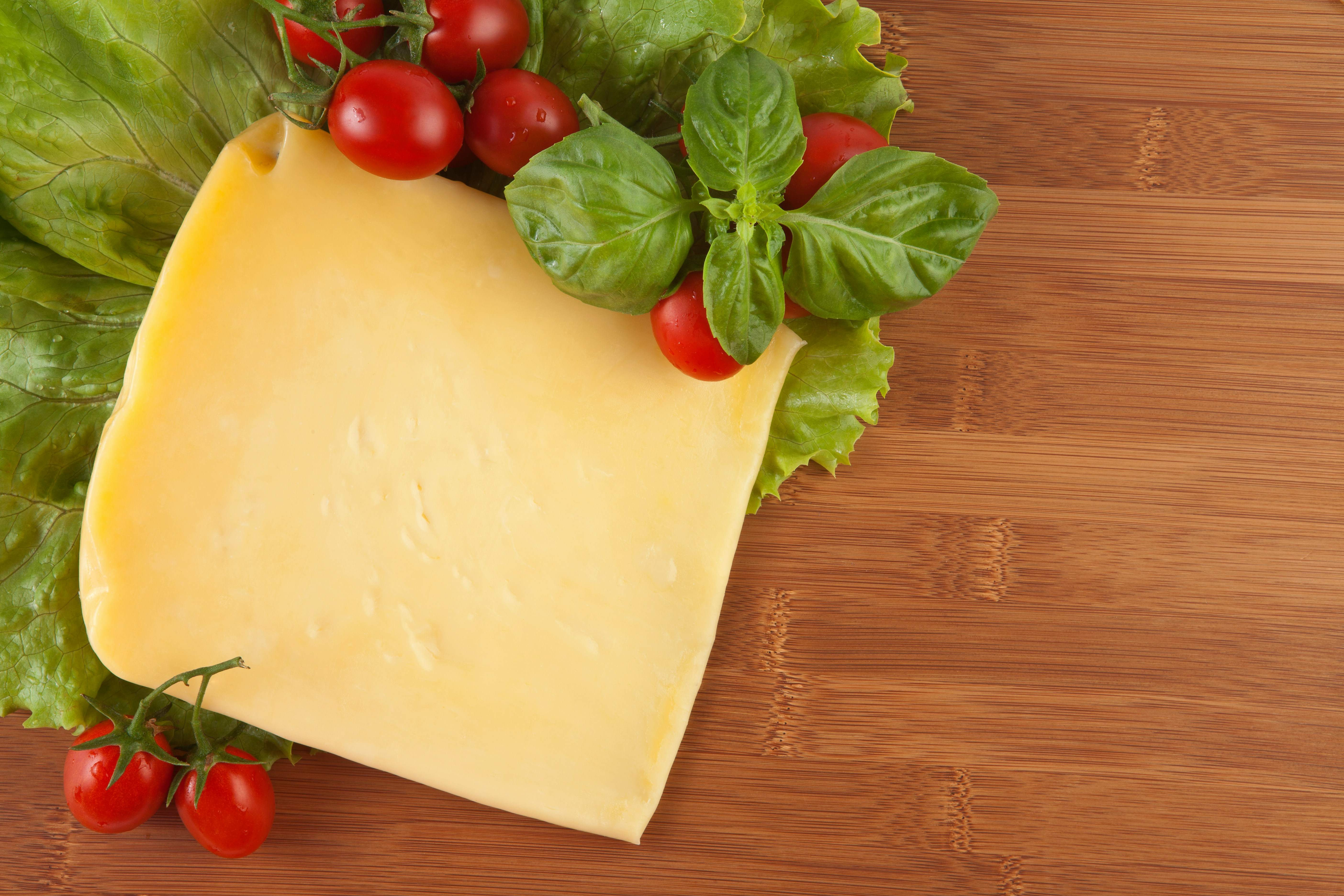 치즈 효능 종류 치즈 만드는 법 칼로리 유통기한