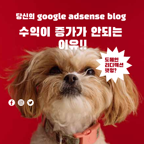  티스토리 하위도메인 : 기본도메인 리디렉션 코드 설정 SEO 향상 가이