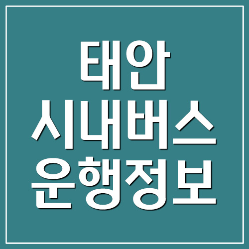  태안 시내버스 시간표 및 요금(농어촌버스)