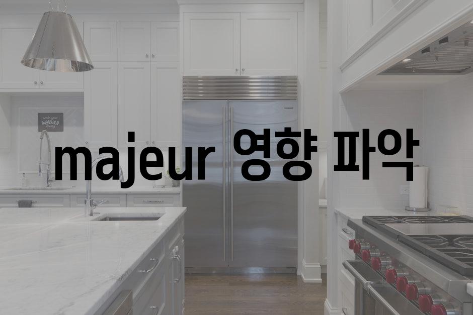 majeur 영향 파악