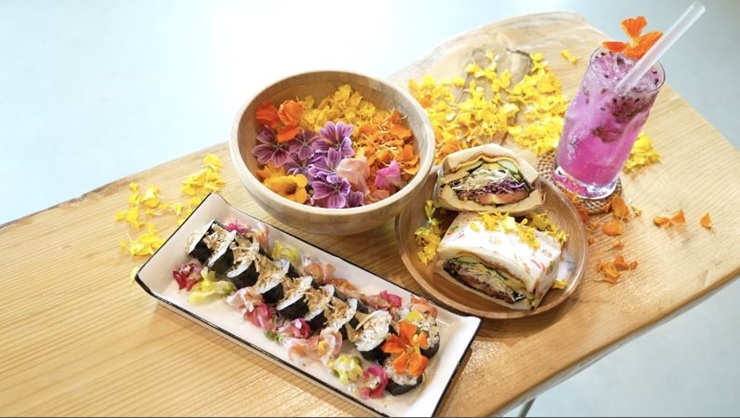 꽃김밥-꽃비빔밥-꽃샌드위치