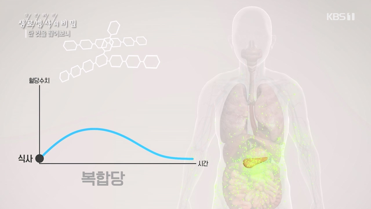 생로병사의 비밀.E877.230727p-NEXT.mp4_20230727_222741.682.jpg